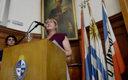 Lustemberg habló de prioridades: salud mental, abuso de sustancias, entre otras