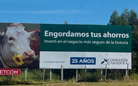 Preparan demanda por mil millones de dólares contra el Mgap