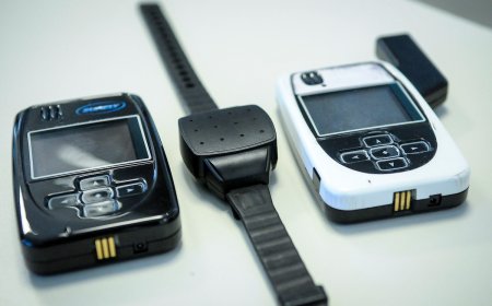 MI desarrolla una app para monitorear denuncias de violencia de género