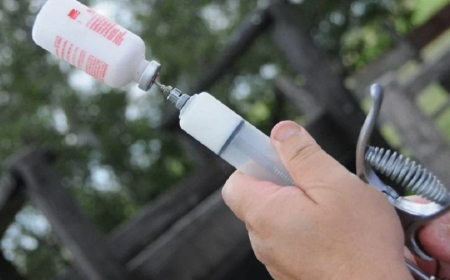 Comenzó la logística de entrega de vacunas contra la fiebre aftosa en todo el país