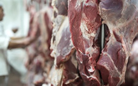 Se profundiza la crisis de frigoríficos y Somicar entra en concurso de acreedores