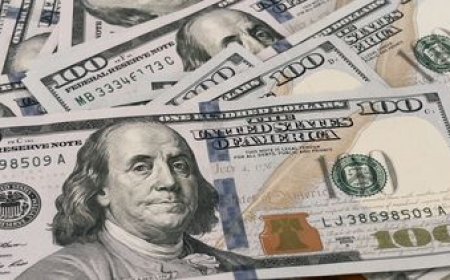 El dólar se recupera levemente, en sintonía con el escenario global