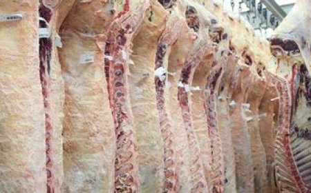 El MGAP busca colocar carne bovina con hueso en Chile a pesar de los reparos por la aftosa