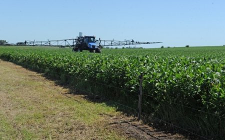La "zona núcleo" del sector agrícola estival, puede llegar superar los 3.000 kg de soja