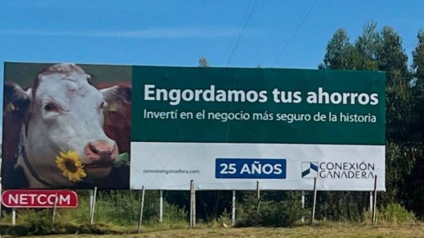 Preparan demanda por mil millones de dólares contra el Mgap