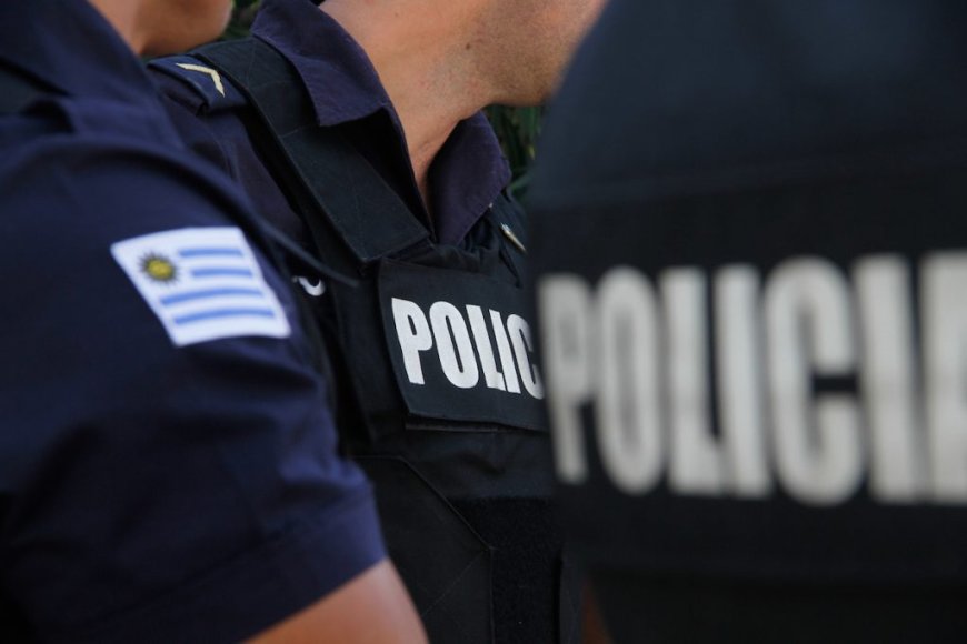 En el día de ayer se incautaron armas de fuego y estupefacientes, hay una detenida