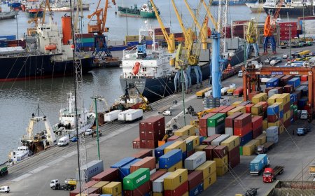 Las exportaciones de bienes aumentaron un 14 % en marzo con respecto al mismo mes de 2024