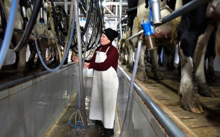 Trabajadores de la industria láctea declaran conflicto por cierre de Calcar