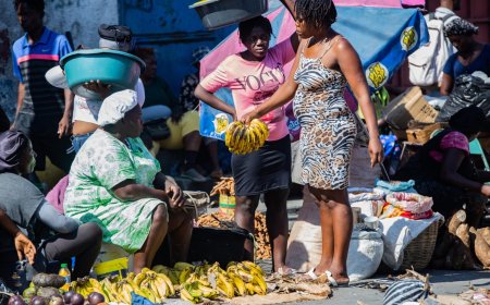 La mitad de los haitianos no tiene lo suficiente para comer, advierte la ONU