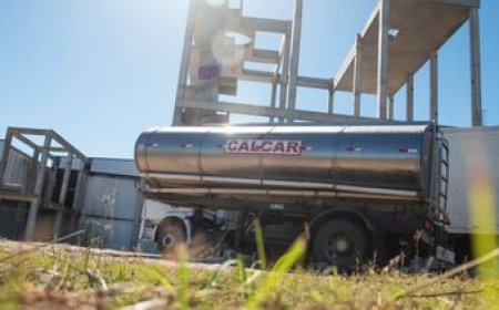 "El cierre de Calcar deja escaso margen para la acción", aseguró el subsecretario del MTSS