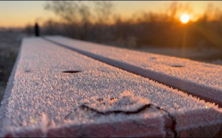 Se vienen horas frías: esto anuncia MetSul para Uruguay