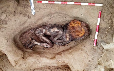 Descubren la tumba de una mujer de casi 5.000 años en civilización más antigua de América