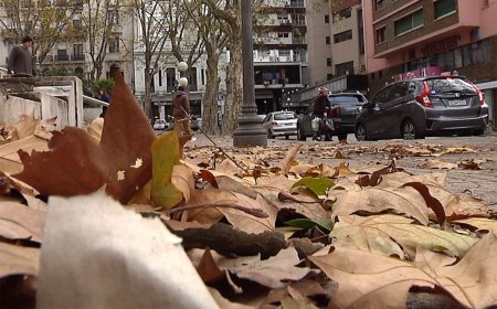 Domingo frío con bajas sensaciones térmicas, según Nubel Cisneros