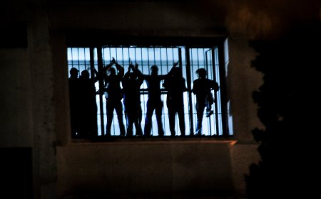 DDHH: Amnistía Internacional advierte sobre la necesidad de tomar 'medidas urgentes'