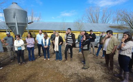 Colonización aplazará vencimientos de rentas y dará crédito a afectados por granizada