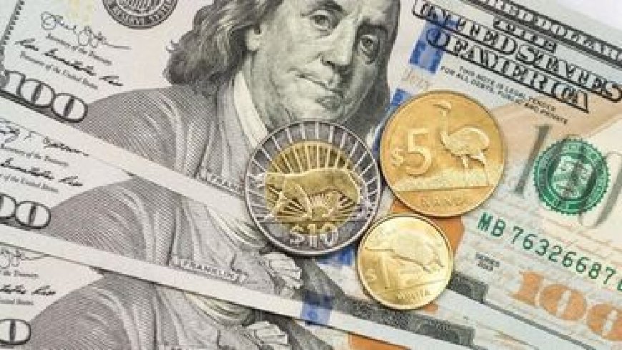 El dólar cayó 1,03% en una semana marcada por la guerra comercial global y el fin del cepo argentino
