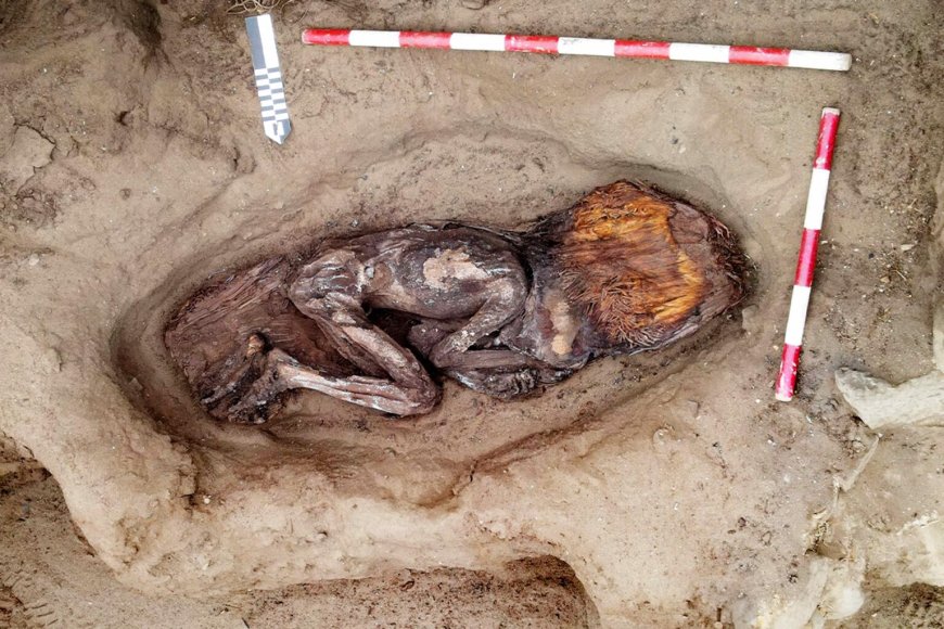 Descubren la tumba de una mujer de casi 5.000 años en civilización más antigua de América