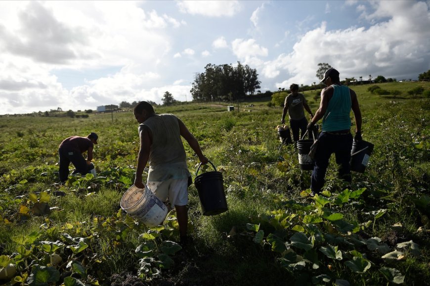 Se conmemora el Día Nacional del Trabajador Rural