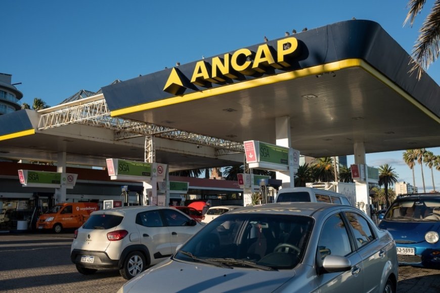 Se mantiene el precio de las naftas y del supergás y baja el del gasoil a partir del 1° de mayo