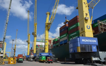 La carne de vacuno fue el producto de mayor exportación en abril