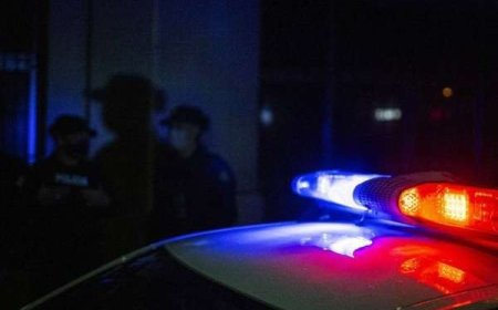 Hombre condenado por matar a un perro con arma blanca: cumplirá pena en libertad a prueba