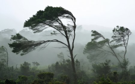 SINAE realizó una serie de recomendaciones ante la ocurrencia de tormentas