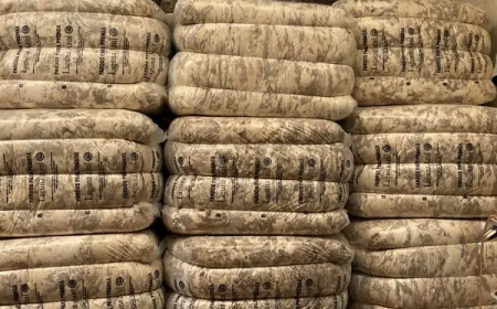 Lana: se descomprimió el stock, después de un año sin demanda y sin valores