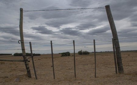 El sábado comenzó frío y ventoso, con sensaciones térmicas bajas: ¿cómo seguirá el tiempo?