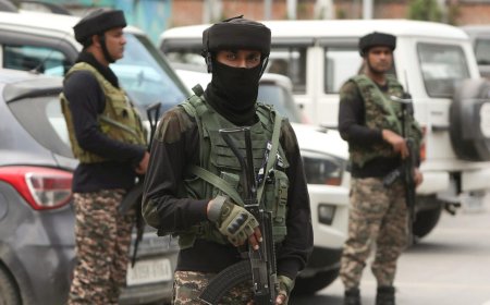 India y Pakistán acuerdan continuar el alto el fuego y discutir la reducción de tropas