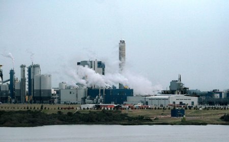 No hay lesionados graves en la planta de UPM 2, luego de una fuga de sustancias, según indican desde la empresa