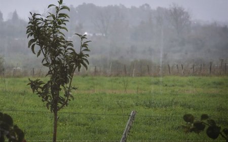 Inumet advierte por tormentas fuertes desde la noche de este viernes