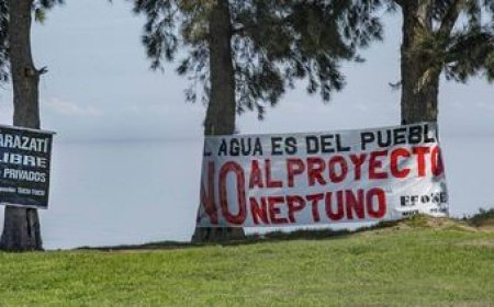 Organizaciones presentarán un recurso de nulidad por el proyecto Arazatí
