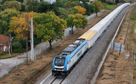 El Gobierno llegó a un acuerdo con consorcio del Ferrocarril Central