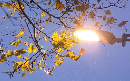 Se instala el frío y las heladas, con mínimas de 4°