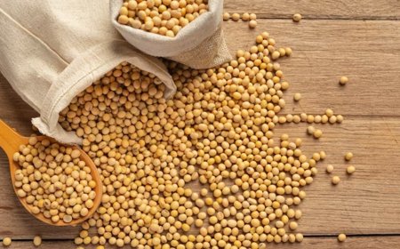 Uruguay quedó habilitado para exportar harina de soja y colza a China