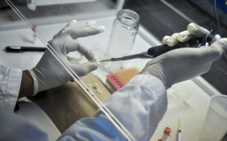 MSP reportó tres casos importados de oropouche