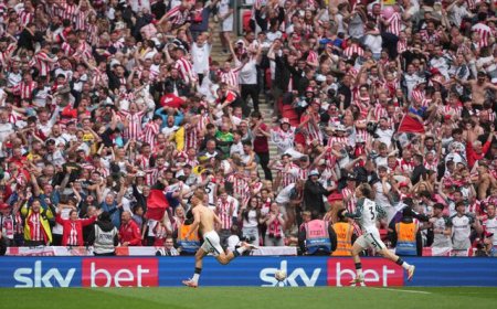 Inglaterra: Sunderland, club del que es copropietario Juan Sartori, ascendió a la Premier