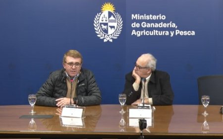 Renunció el presidente de Colonización