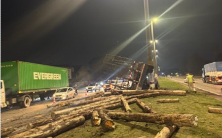 Camión volcó tras desprendimiento del acoplado que remolcaba