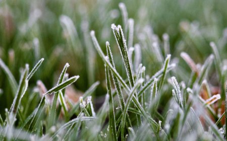 Pronóstico de Inumet: viernes con heladas y nieblas en todo el país