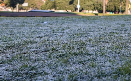 Fin de semana frío y con heladas, luego comienza a subir la temperatura