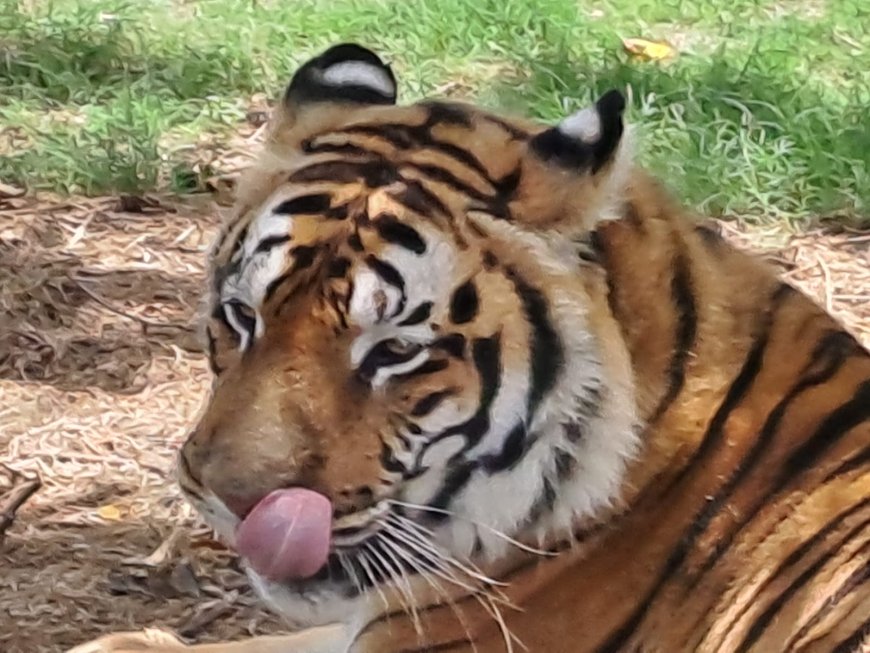 Nuevo horario en el Bioparque y Parque de la Hispanidad