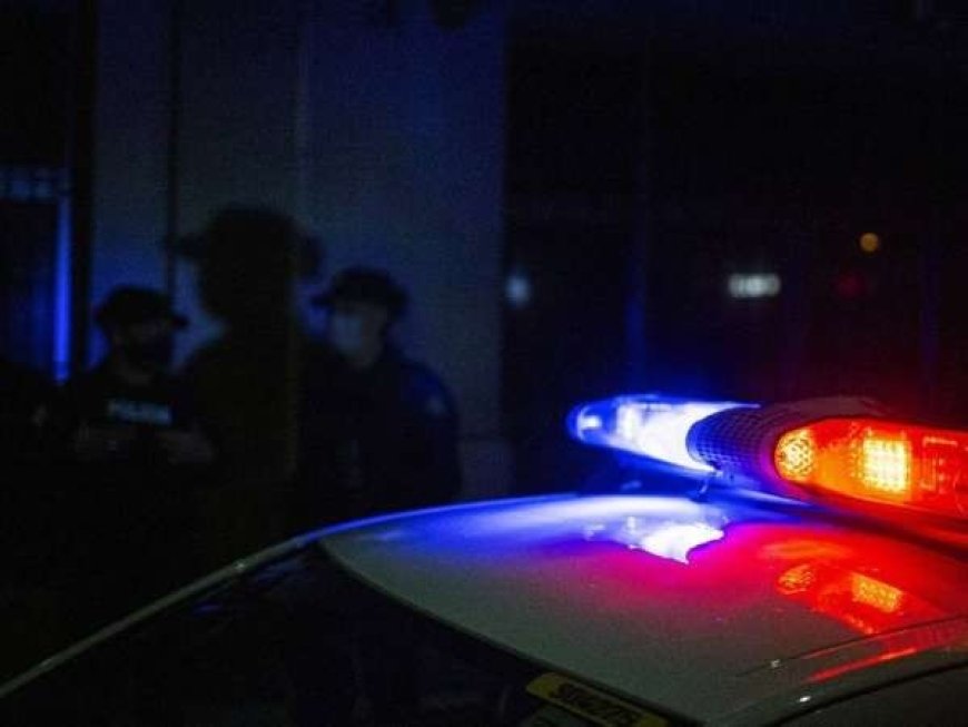 Hombre condenado por matar a un perro con arma blanca: cumplirá pena en libertad a prueba