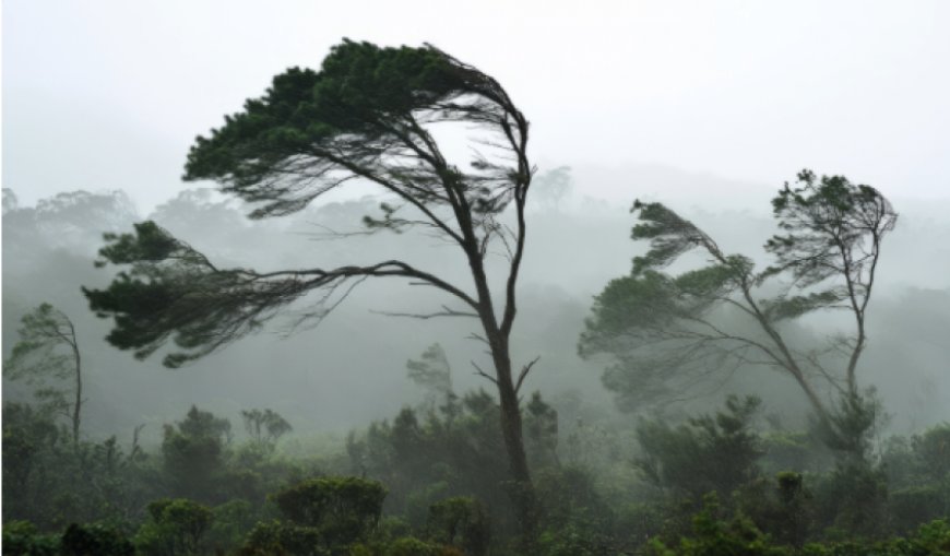 SINAE realizó una serie de recomendaciones ante la ocurrencia de tormentas
