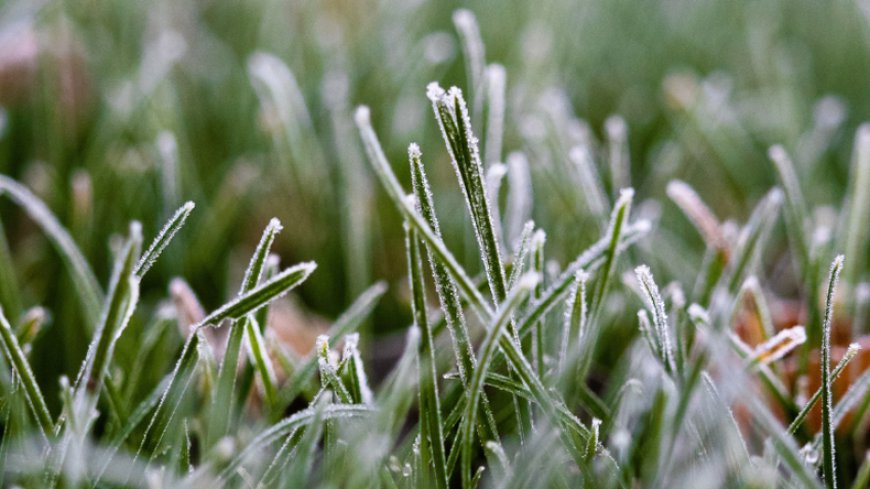 Pronóstico de Inumet: viernes con heladas y nieblas en todo el país