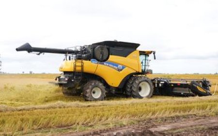 Cosecha de arroz fue la de mayor volumen en la historia del Uruguay