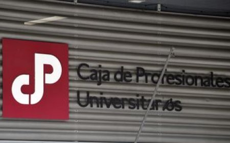 La comisión especial del Senado vota el proyecto para la Caja de Profesionales