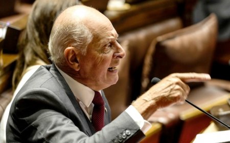 Salle propone que el gobierno rompa relaciones diplomáticas con Israel