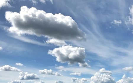 Domingo muy frío con heladas y formación de nieblas y neblinas