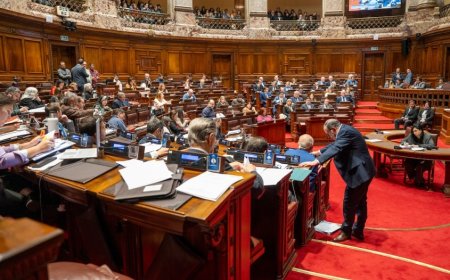 Diputados votaría esta semana el proyecto de reforma de la Caja de Profesionales